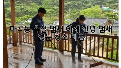 마곡동 욕실 냄새, 이제 안녕! 냄새 없는 청소 비법